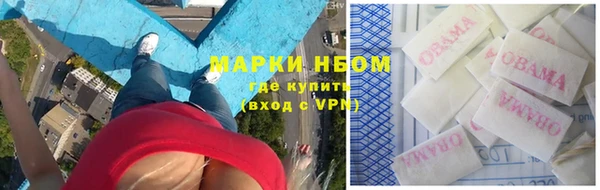 ПСИЛОЦИБИНОВЫЕ ГРИБЫ Алексеевка