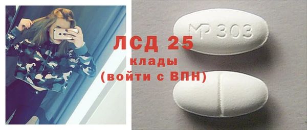 ПСИЛОЦИБИНОВЫЕ ГРИБЫ Алексин