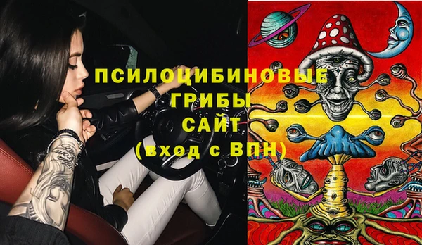 ПСИЛОЦИБИНОВЫЕ ГРИБЫ Алексеевка