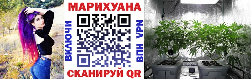 Конопля AK-47  Алупка 